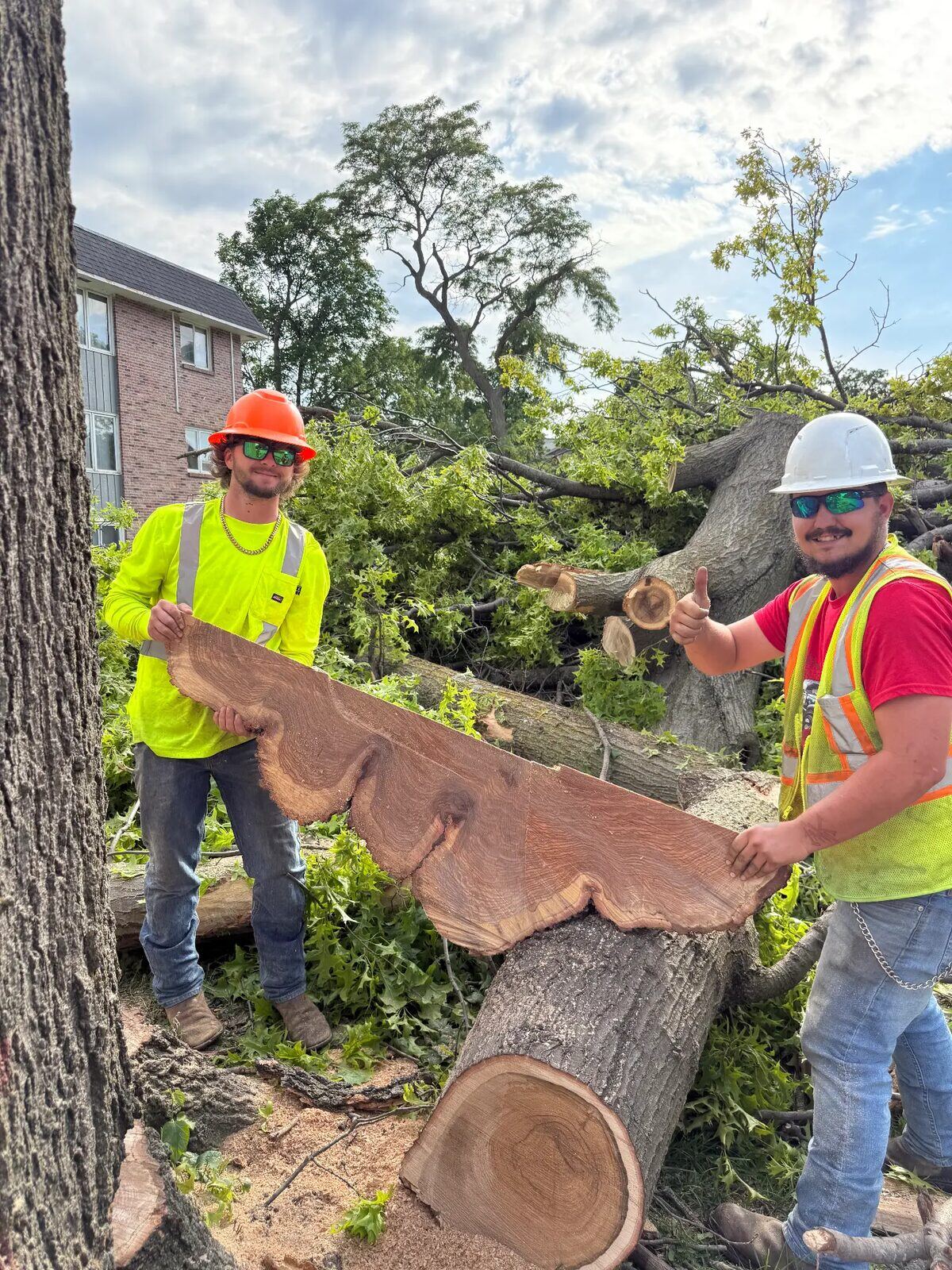 Our crew holding a freshly cut wood slab at a storm cleanup site in Northeast Arkansas