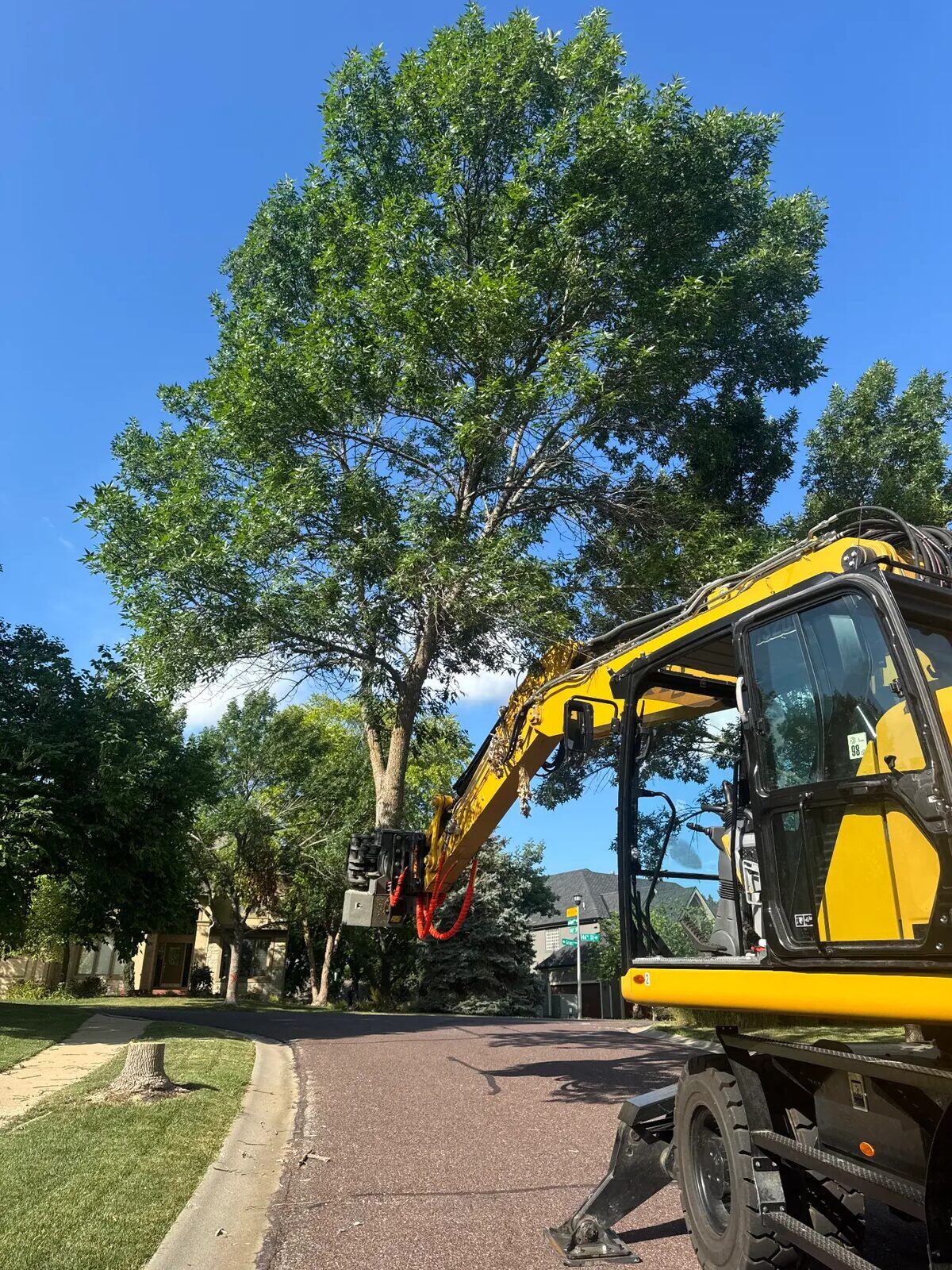 Our excavator reaching toward a tree on a residential street