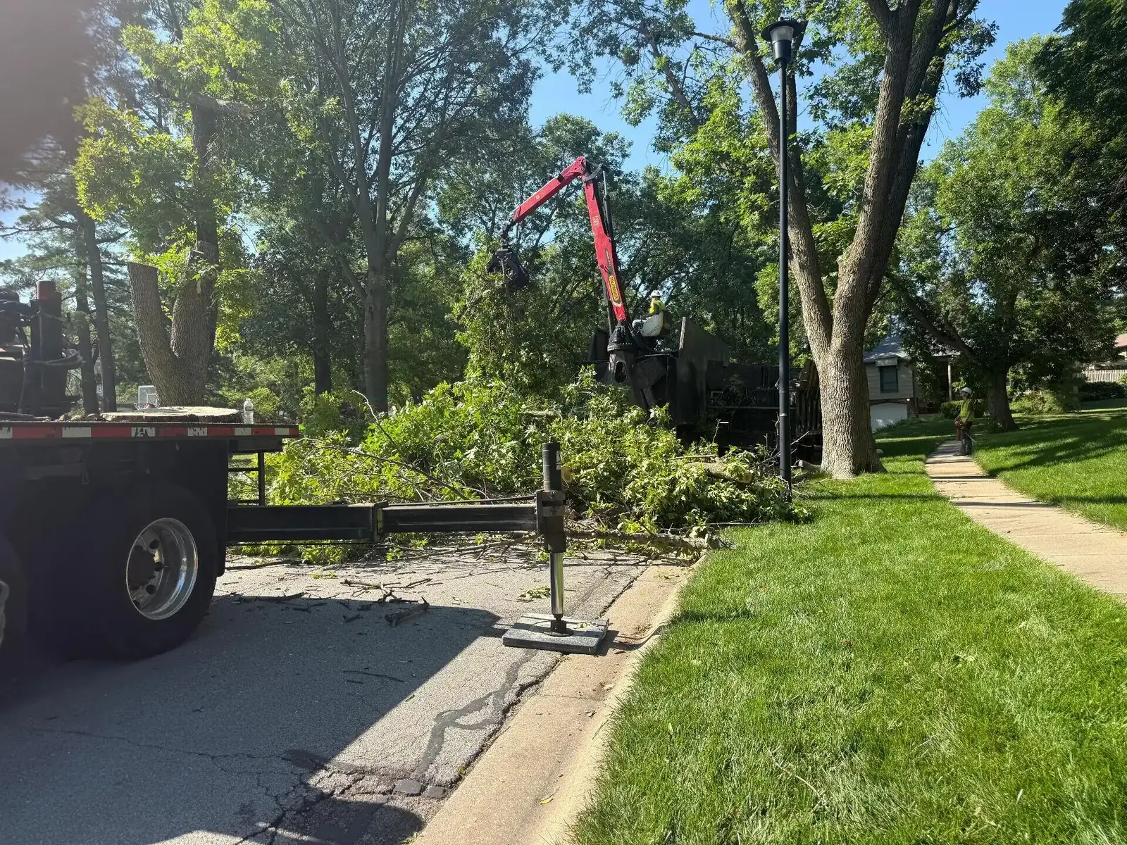 Gideon Tree & Timber crane removing a tree in Weiner, AR