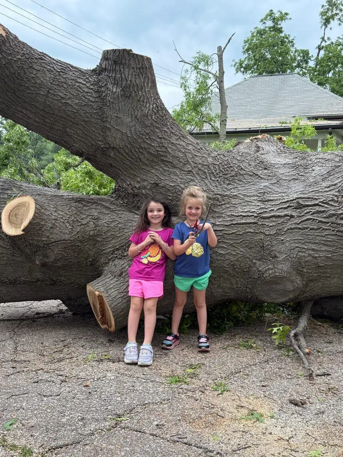 Two kids standing under a massive fallen oak — the next generation of Gideon Tree & Timber